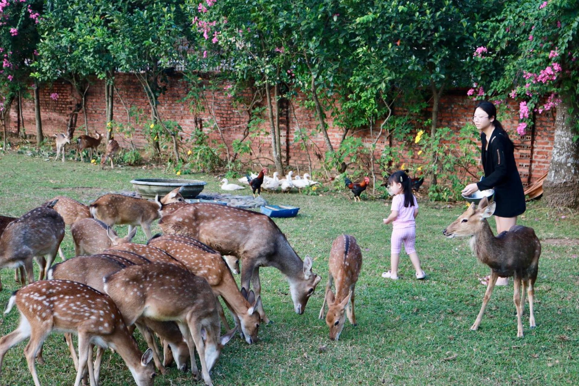Asean Resort - Shiki Onsen & Spa Hanoi Kültér fotó